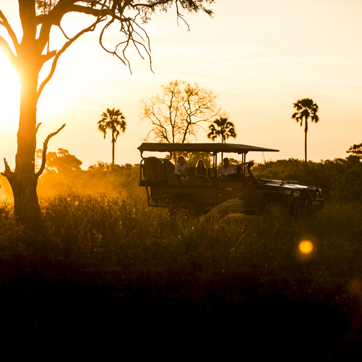Wilderness Little Mombo Botswana Game Drive