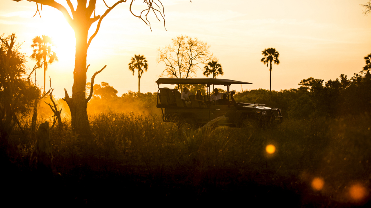 Wilderness Little Mombo Botswana Game Drive