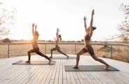 Discover wellness of yoga in the bush Wilderness