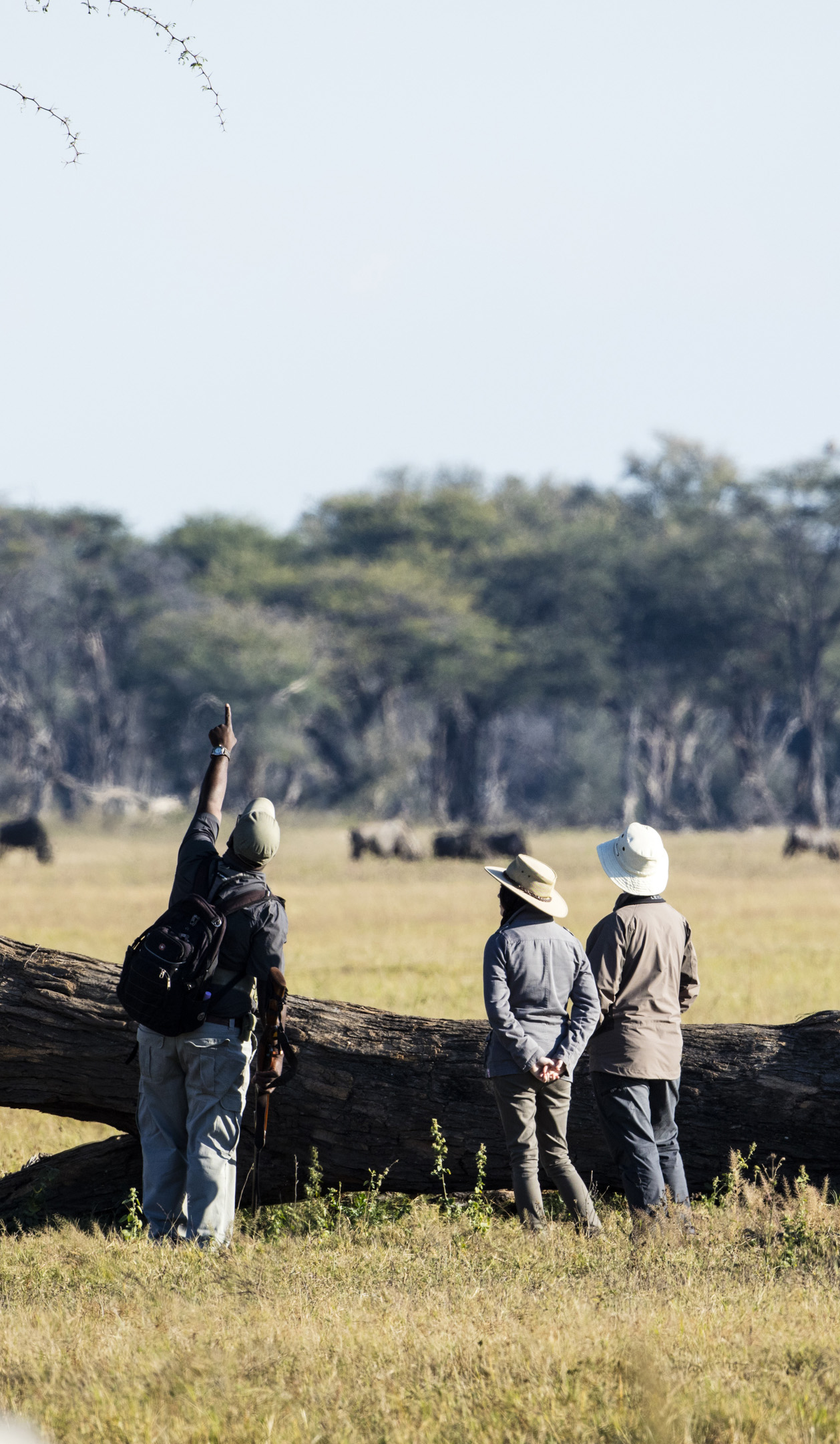 Wilderness Davisons Zimbabwe Activities Walking Safari