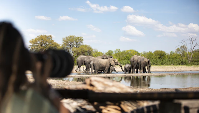 Iconic Wilds of Zimbabwe & Botswana