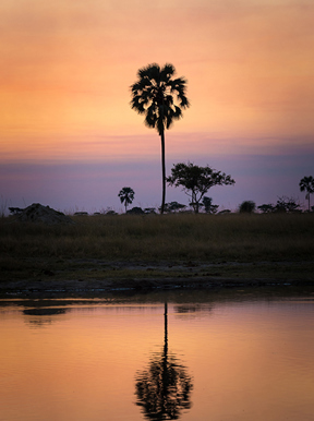 Wilderness Hwange Landscape Wetlands