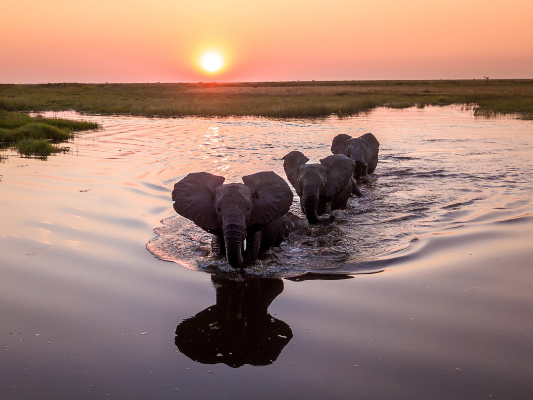 Wilderness Kings Pool Botswana Purpose