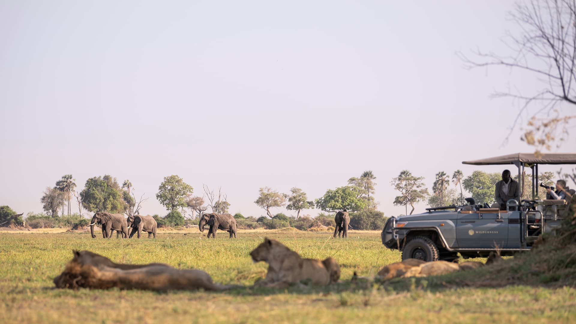 Place of plenty Mombo game drive sighting lions and elephants