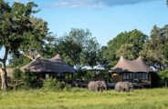 Wilderness Mombo Botswana Camp Exterior Floodplains