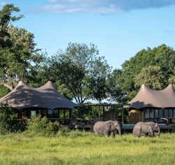 Wilderness Mombo Botswana Camp Exterior Floodplains