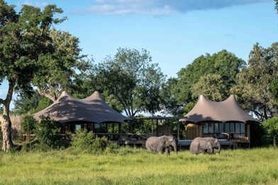 Wilderness Mombo Botswana Camp Exterior Floodplains