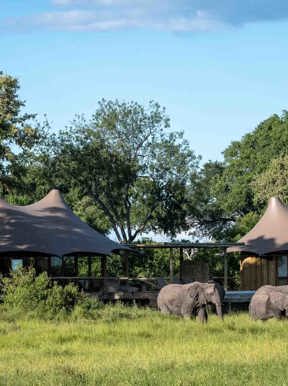 Wilderness Mombo Botswana Camp Exterior Floodplains
