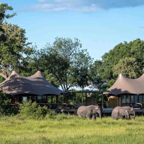 Wilderness Mombo Botswana Camp Exterior Floodplains