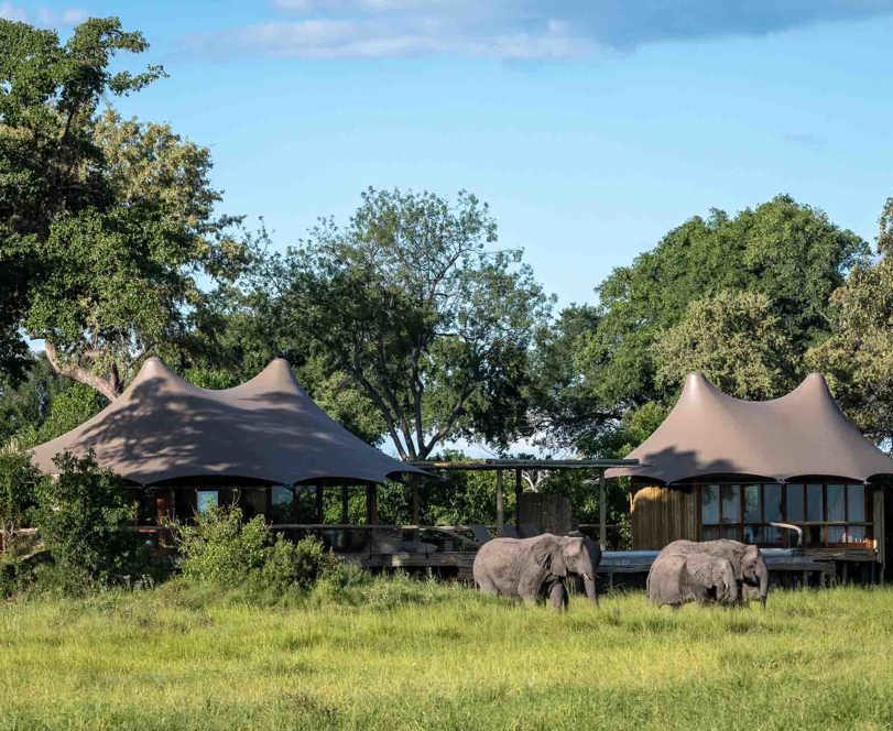 Wilderness Mombo Botswana Camp Exterior Floodplains