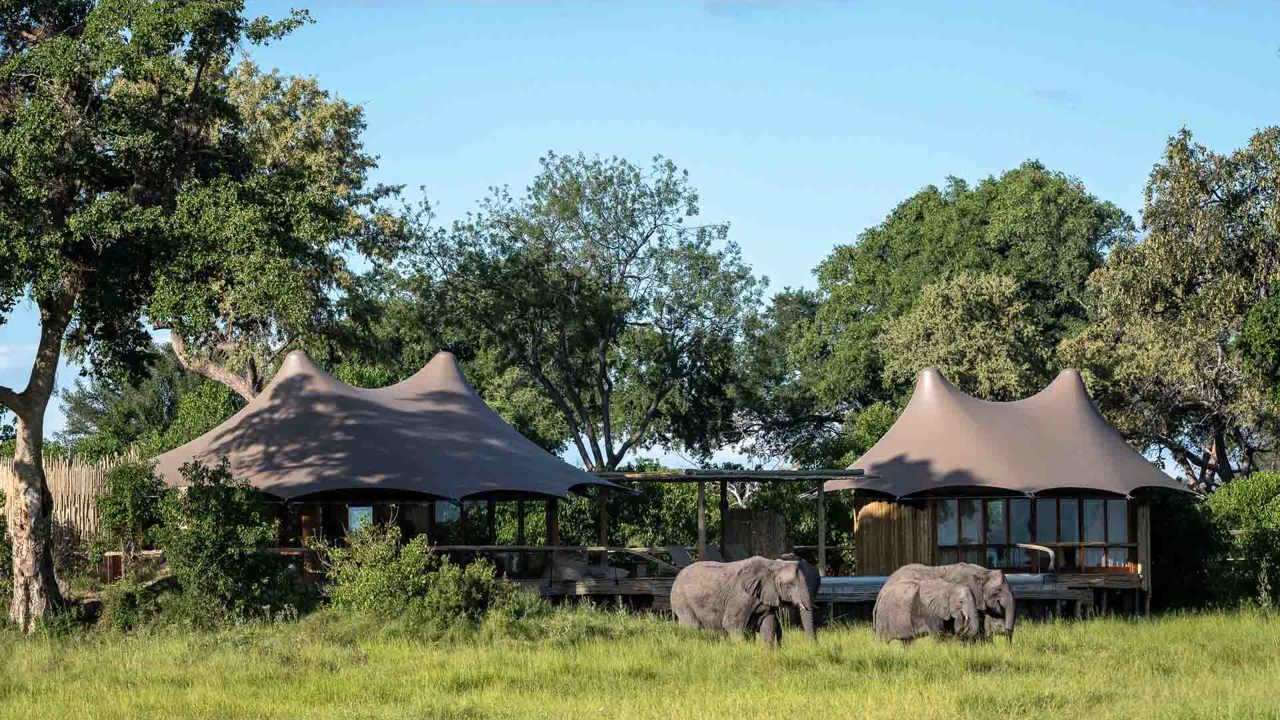 Wilderness Mombo Botswana Camp Exterior Floodplains