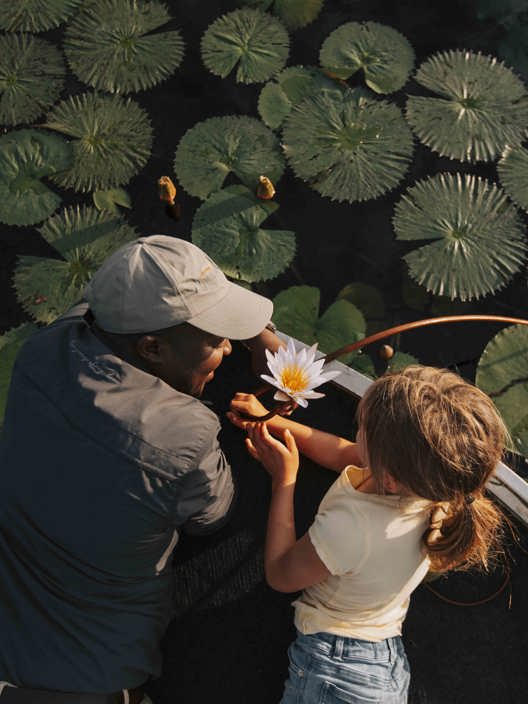 Wilderness Journeys Botswana Boating waterlilies