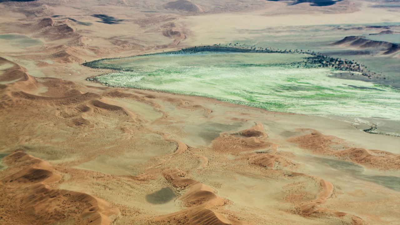 The Namibian desert transformed to green hues after rains in May 2026
