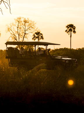 Wilderness Little Mombo Activities Botswana Game Drive