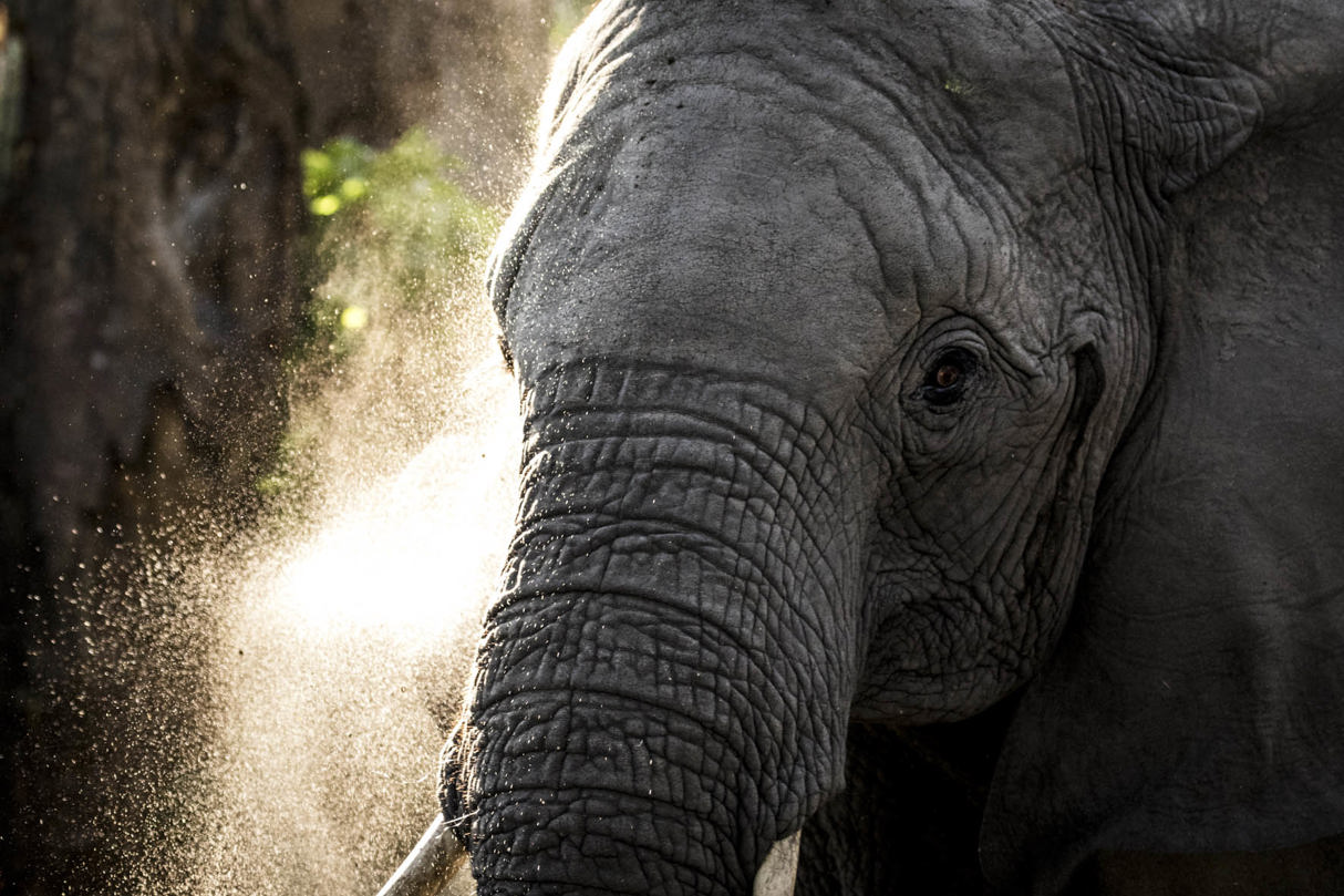 Wilderness Abu Botswana Purpose