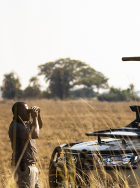 Wilderness Shumba Zambia Activities Game Drive
