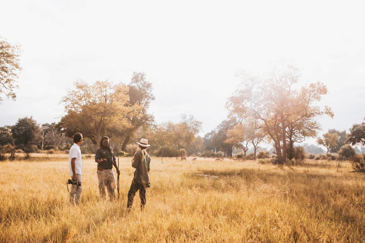 A walking safari is a great way of getting to the basics