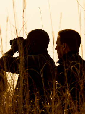 Wilderness Shumba Zambia Activities Birding
