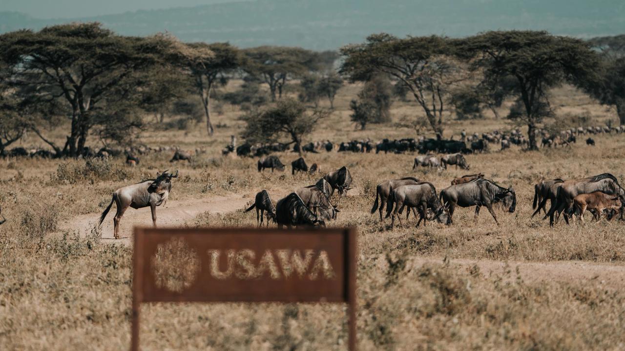 Wilderness Usawa signage in the Serengeti Tanzania