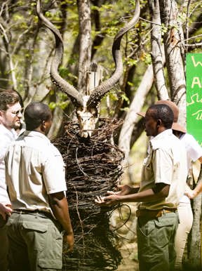 Hwange Scorpion antipoachers Wilderness Impact 